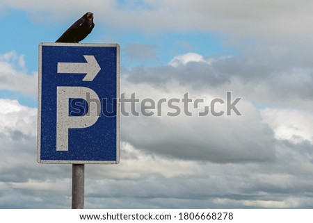 Black crow sitting on a blue and white parking sign with direction to the right arrow,  cloudy sky in the background.