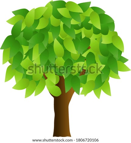 A tree isolated vector illustration