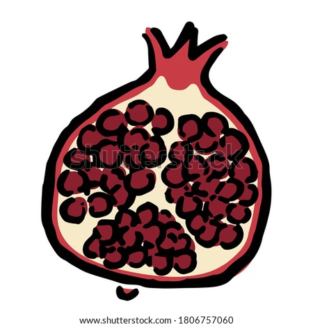 Illustration of Pomegranate: Illustration like hand drawn illustration with ink and brush