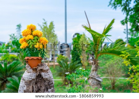 The Artificial marigold flower pot Put on a coconut tree In the outdoor beautify flower garden 