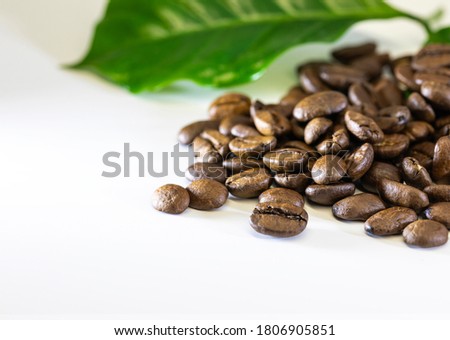 Coffee beans and a leaf of a coffee tree on a white table.Selective focus.Some of the grains spilled onto the table.