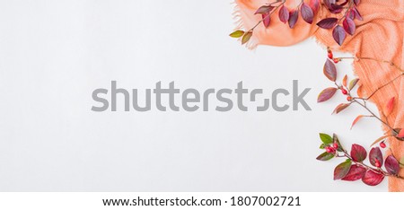 Flat lay composition with colorful autumn leaves and scarf on a white background
