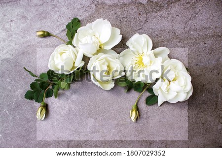 Styled stock photo. Feminine digital product mockup with rose flowers, blank list of paper and shabby grey background. Flat lay, top view. Picture for blog or social media