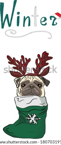 Vector illustration of a pug in a Santa hat and in a New Year's stocking with snowflake. Festive illustration for printing on clothes, prints, postcards, wrapping paper