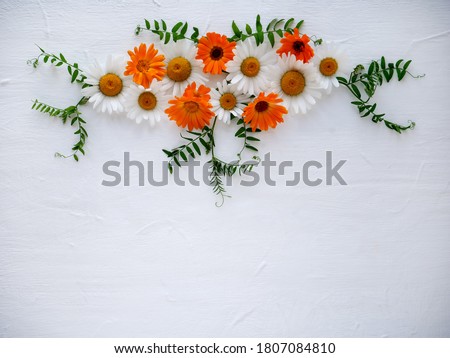 Wild flowers of chamomile and calendula. Floral holiday composition with spring flowers on white background. copy space.