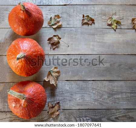 Happy Thanksgiving Day. Three pumpkins and leaves on a wooden background. Plenty of space for text