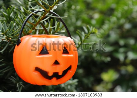 Halloween pumpkin ornament on evergreen background