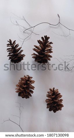 dried pine flowers are widely used for decoration 