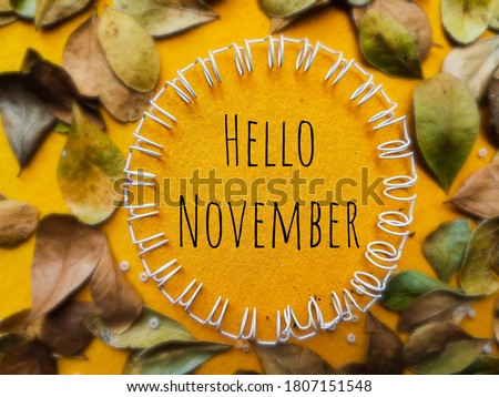 Hello November Greeting Text In Colorful Autumn Leaves Background Stock Photo