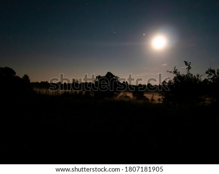 Heavenly horizon with the moon in the starry night sky. Starry cosmic sky with the moon. Night natural landscape. Black shadows of trees. Creeping fog. Panorama. Background image.