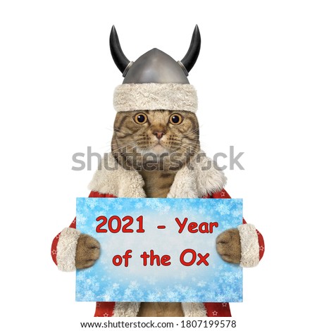 A cat Santa Claus in a viking helmet holds a sign that says 2021 - Year of the Ox. White background. Isolated.
