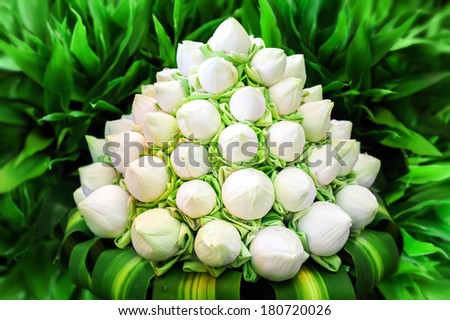 White lotus flowers in bouquet for wedding celebration and religious offering during temple ceremony