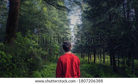 uttarakhand,india-2 june 2020:man in forest.this is a picture of a man observing the nature.the man is looking at the tall trees.solo traveller in forest.wallpaper.