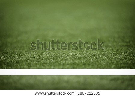 Selective focus of green grasses background. Copy space or blank concept and natural background idea