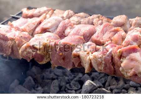 Raw Marinated shashlik, barbecue. Photo with selective focus