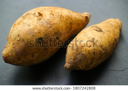 Fresh sweet potato from the farm on the black background