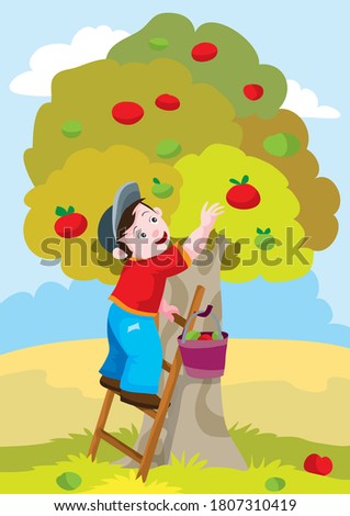 boy in the autumn picks apples from the apple tree, holding a ladder to the tree, cartoon illustration, vector, eps