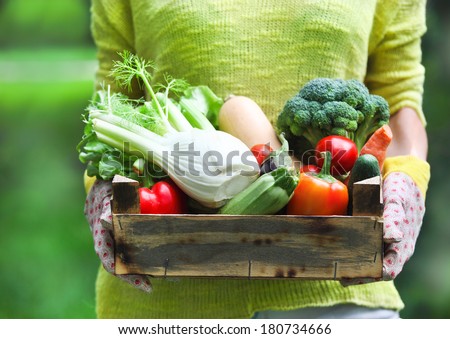Woman wearing gloves with fresh vegetables in the box in her hands. Close up Royalty-Free Stock Photo #180734666