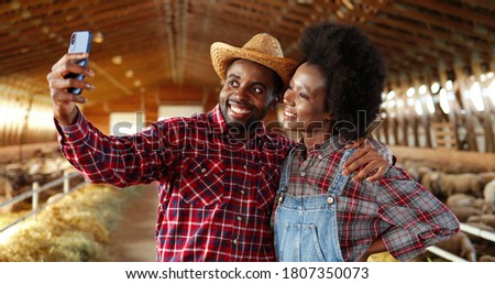 African American cheerful young couple taking selfie photos in stable with sheep on smartphone and smiling. Pretty happy woman and handsome man, farmers making pictures on mobile phone. Selfies photos