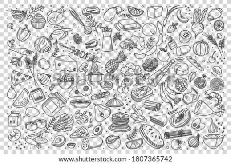 Food doodle set. Collection of hand drawn sketches templates of various different kind of meal. Meat pizza fish and fast food burger sandwitch or healthy vegetables and fruits illustration.