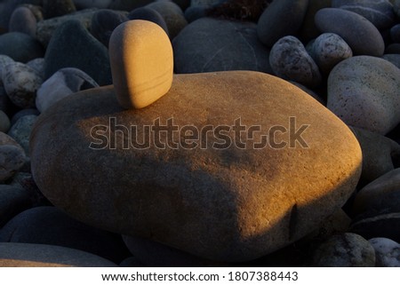 Composition of different pebbles from the beach of the Black Sea coast.