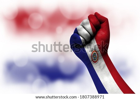 Flag of Paraguay painted on male fist, strength,power,concept of conflict. On a blurred background.
