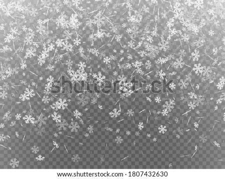 Falling snowflakes on transparent background. Winter holiday snowfall. Vector illustration.