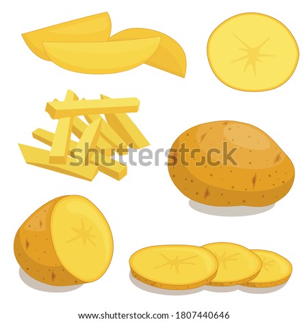 Potatoes isolated on background. Set of wedges, whole, slices, half, rings potatoes. Vector illustration top view  Royalty-Free Stock Photo #1807440646