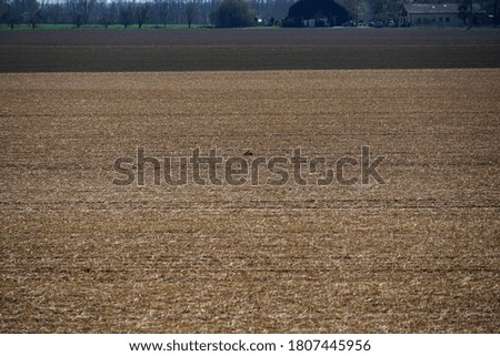 An arid field in the rural area during the daytime