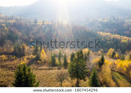 Colorful magic autumn mountain landscape.