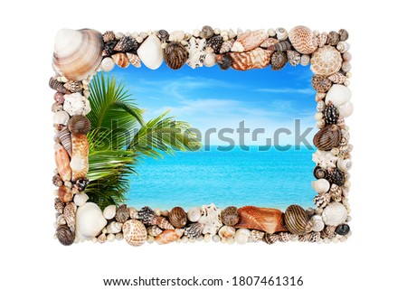 Seashells photo frame white background isolated closeup, sea shells picture border, summer beach holiday, exotic tropical island vacation, green palm, blue sky, travel banner, beautiful landscape view