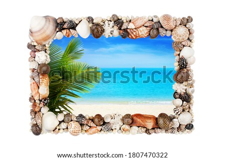 Seashells photo frame white background isolated closeup, sea shells picture border, summer sand beach holiday, tropical island vacation, green palm, blue sky, tourist travel banner beautiful landscape