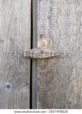 wooden and rotate gate latch on the old shabby fence