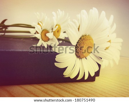 Daisies. Design in retro style with shallow canvas texture overlay.