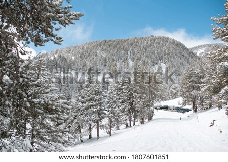 Landscape of mountains and trees covered in snow. Picture taken in the Pyrenees.