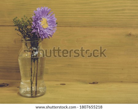 Image of vase with beautiful flower on wooden background.