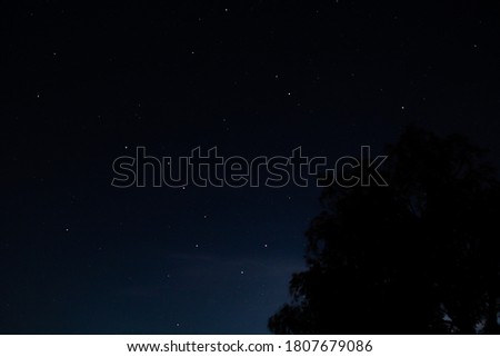 the big chariot in the starry sky on a clear summer night in the swiss alps with a tree in the foreground