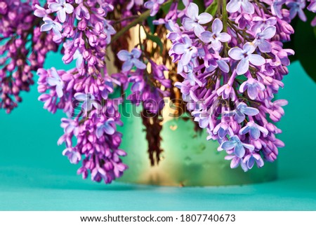Blossoming branches of lilac (Syringa vulgaris). Violet flowers in a golden vase on a blue background.