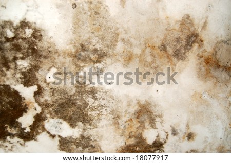 Mold growth and water stains on the ceiling of an abandoned house. Royalty-Free Stock Photo #18077917
