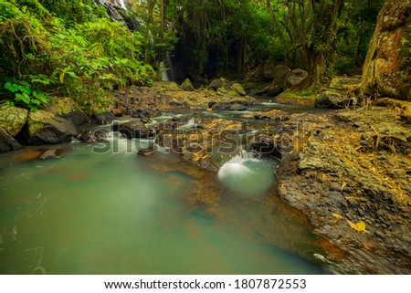Tropical landscape. River in jungle surrounded by stones. Water flow. Green plants, moss. Soft focus. Slow shutter speed, motion photography. Nature background. Horizontal layout. Tabanan, Bali