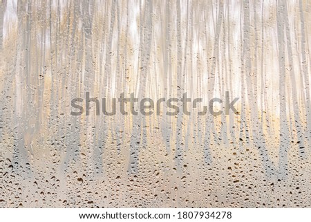 Birch trees with yellow foliage illuminated by the sun after rain behind wet glass in golden autumn. The concept of changing bad weather to good and falling leaves. Abstract blurred landscape.