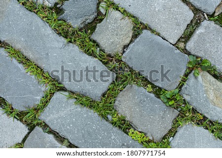 road pavement made with small stone blocks