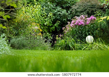 view of a green lawn with flowers