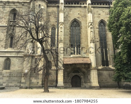 Tree next to one of the doors of the Biserica Neagra (Black Church)