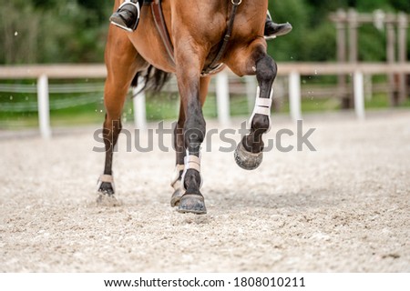 Detail of horse hooves from showjumping competition. Royalty-Free Stock Photo #1808010211