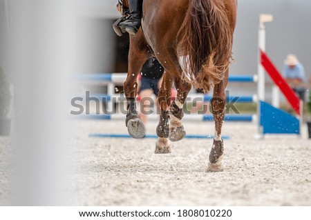 Detail of horse hooves from showjumping competition. Royalty-Free Stock Photo #1808010220