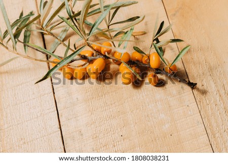 top view of a sea buckthorn branch with berries on a wooden surface.