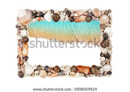 Sea shells frame white background isolated close up seashells border, blue wave sand beach, turquoise ocean water pattern, summer holidays backdrop, tropical island vacation, travel banner, copy space
