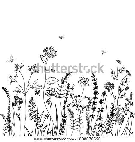 Black silhouettes of grass, spikes, herbs and insekt isolated on white background. Hand drawn sketch flowers. Can be used for printing on summer textiles and phone case. Royalty-Free Stock Photo #1808070550