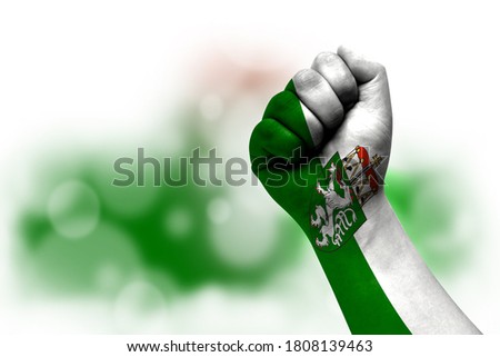 Flag of Styria painted on male fist, strength,power,concept of conflict. On a blurred background.